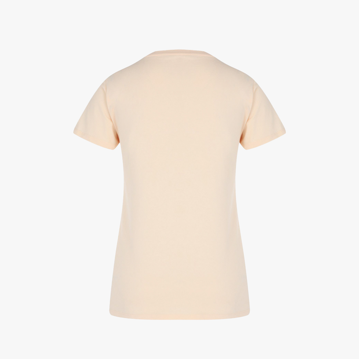 Футболка SALOMON Outlife Big Logo Tee W 