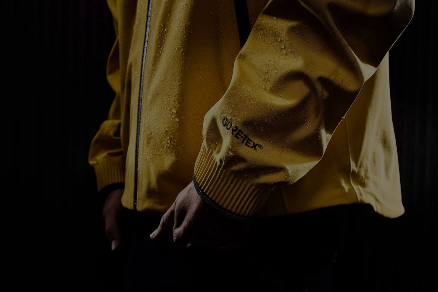 The North Face and Gore-Tex.png