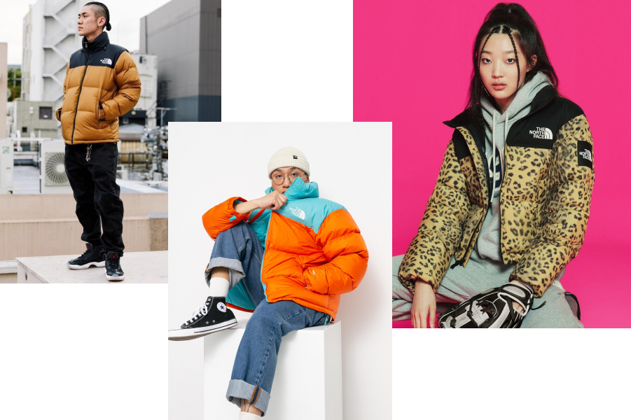 Современная Nuptse The North face.png
