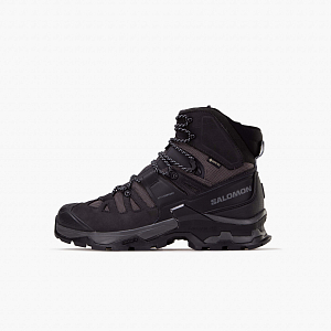 Ботинки SALOMON Quest 4 GTX