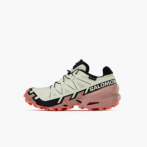 Кроссовки SALOMON Speedcross 6 GTX W