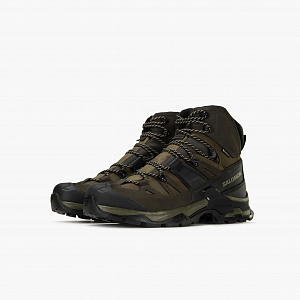 Ботинки SALOMON Quest 4 GTX