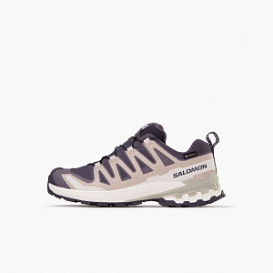 Кроссовки SALOMON XA Pro 3D V9 Gore-Tex