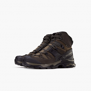 Ботинки SALOMON Quest 4 GTX