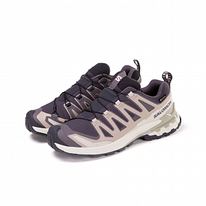 Кроссовки SALOMON XA Pro 3D V9 Gore-Tex