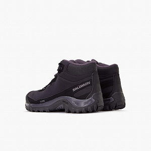 Ботинки SALOMON Shelter WP W