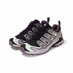 Кроссовки SALOMON Xa Pro 3D V9 GTX W
