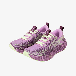 Кроссовки ASICS Noosa TRI 16