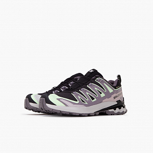 Кроссовки SALOMON Xa Pro 3D V9 GTX W