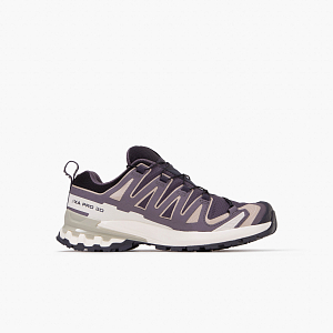 Кроссовки SALOMON XA Pro 3D V9 Gore-Tex
