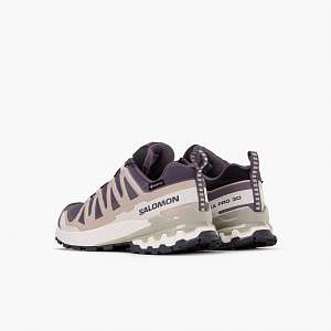 Кроссовки SALOMON XA Pro 3D V9 Gore-Tex