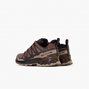 Кроссовки SALOMON XA Pro 3D V9 GTX