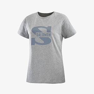 Футболка SALOMON Outlife Big Logo Tee W 