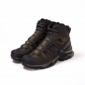 Ботинки SALOMON Quest 4 GTX
