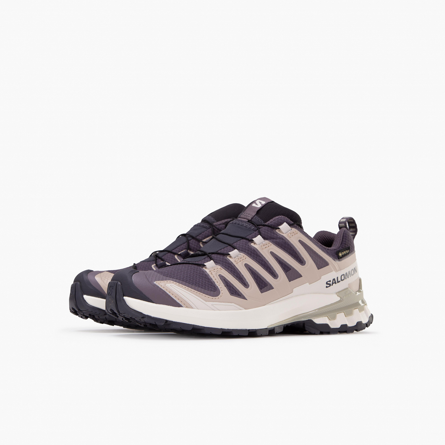 Кроссовки SALOMON XA Pro 3D V9 Gore-Tex